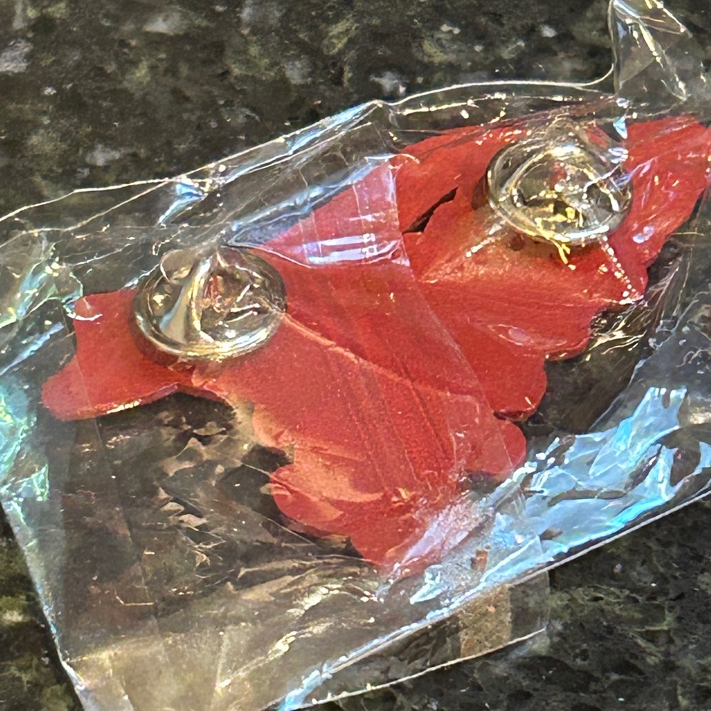Gifted ! Widespread Panic Hat Pin Bag Pin Athens, GA - Picture 5 of 8